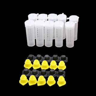 1SET Beekeeping King Queen Bee Rearing System Box Plastic Cup Cell Protection Cover Cage Apiculture Kit Bees Tools Supplies