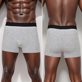 Panties Cotton Male Underwear