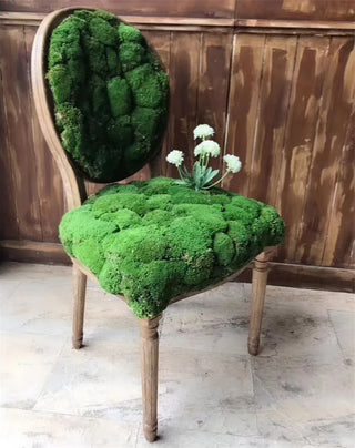 20g Artificial plant eternal life moss / Garden home decoration wall DIY Flower material Mini Garden Micro Landscape Accessories