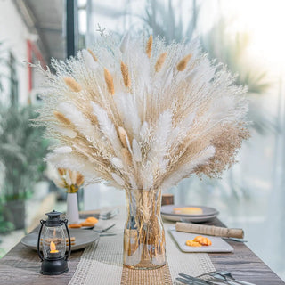 300pcs Real Natural Dried Flower Bouquet Pampas Reed